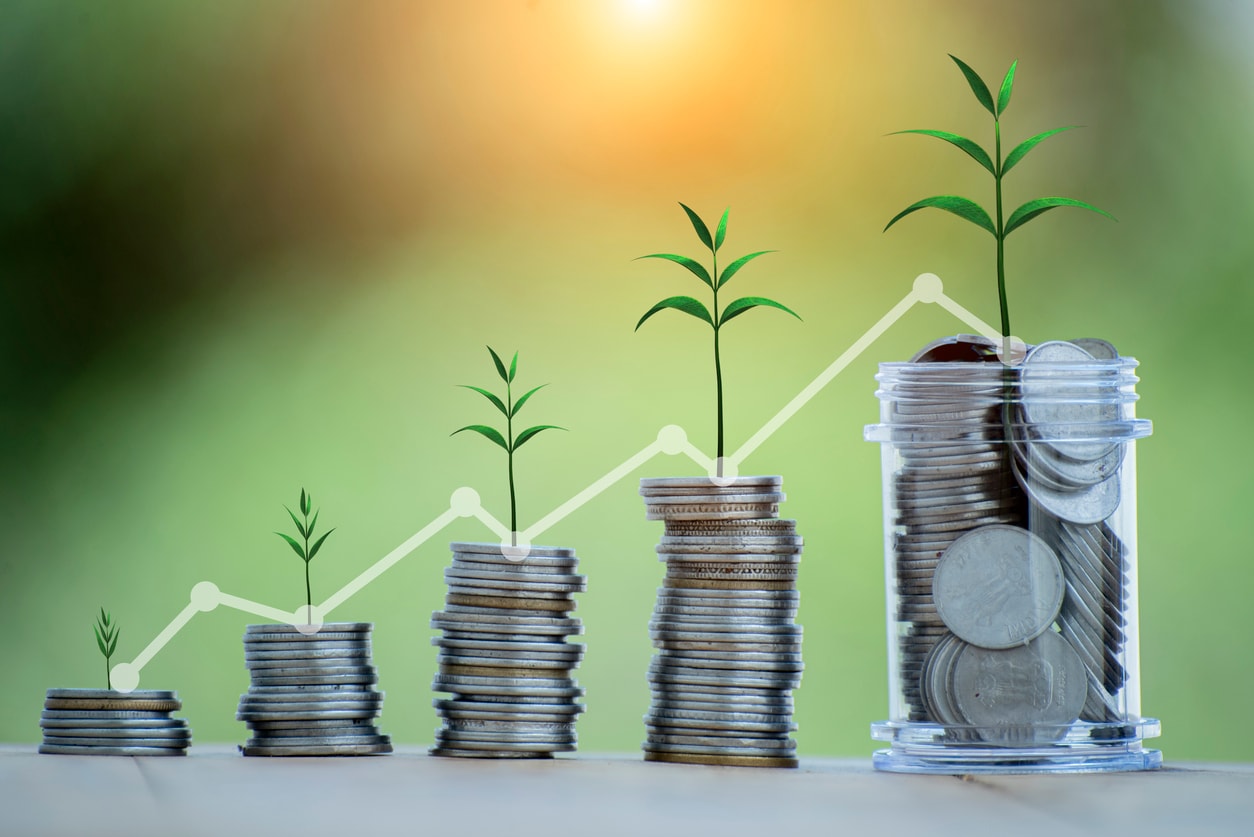Finance & Investment